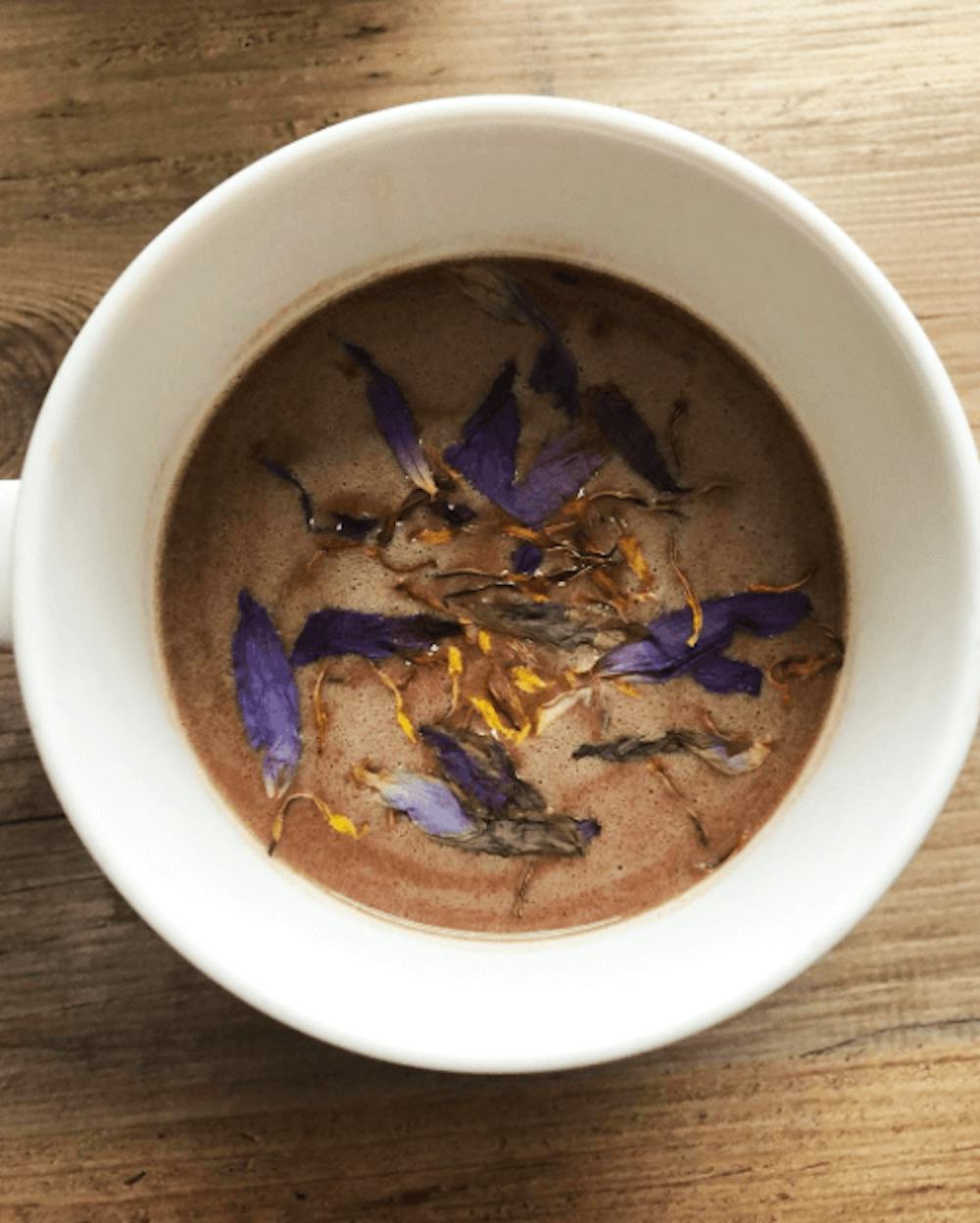 Blue Lotus Flower PicoBotanica