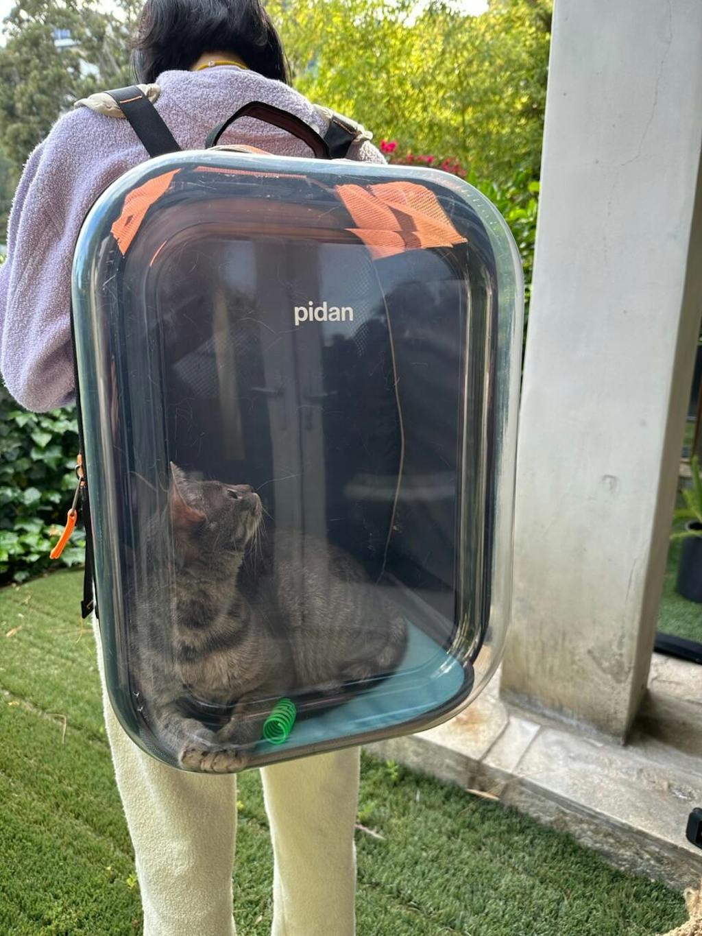 Travel Window Pet Carrier Backpack pidan