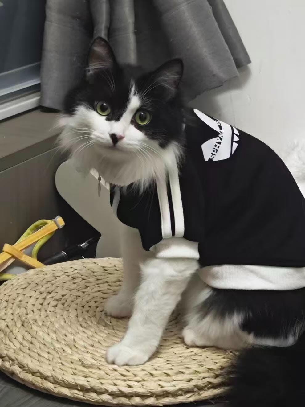 1768275021__9d665ff483b242c908