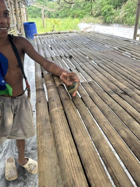 Pinatubo Mountainero