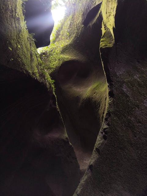 Inararo Joiners - Shared Group Tour SM Clark