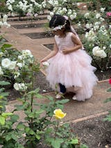 Tip Top Sky Blue Ruffled Tulle High-Low Flower Girl Dress 5658SB 6 Months / Skyblue