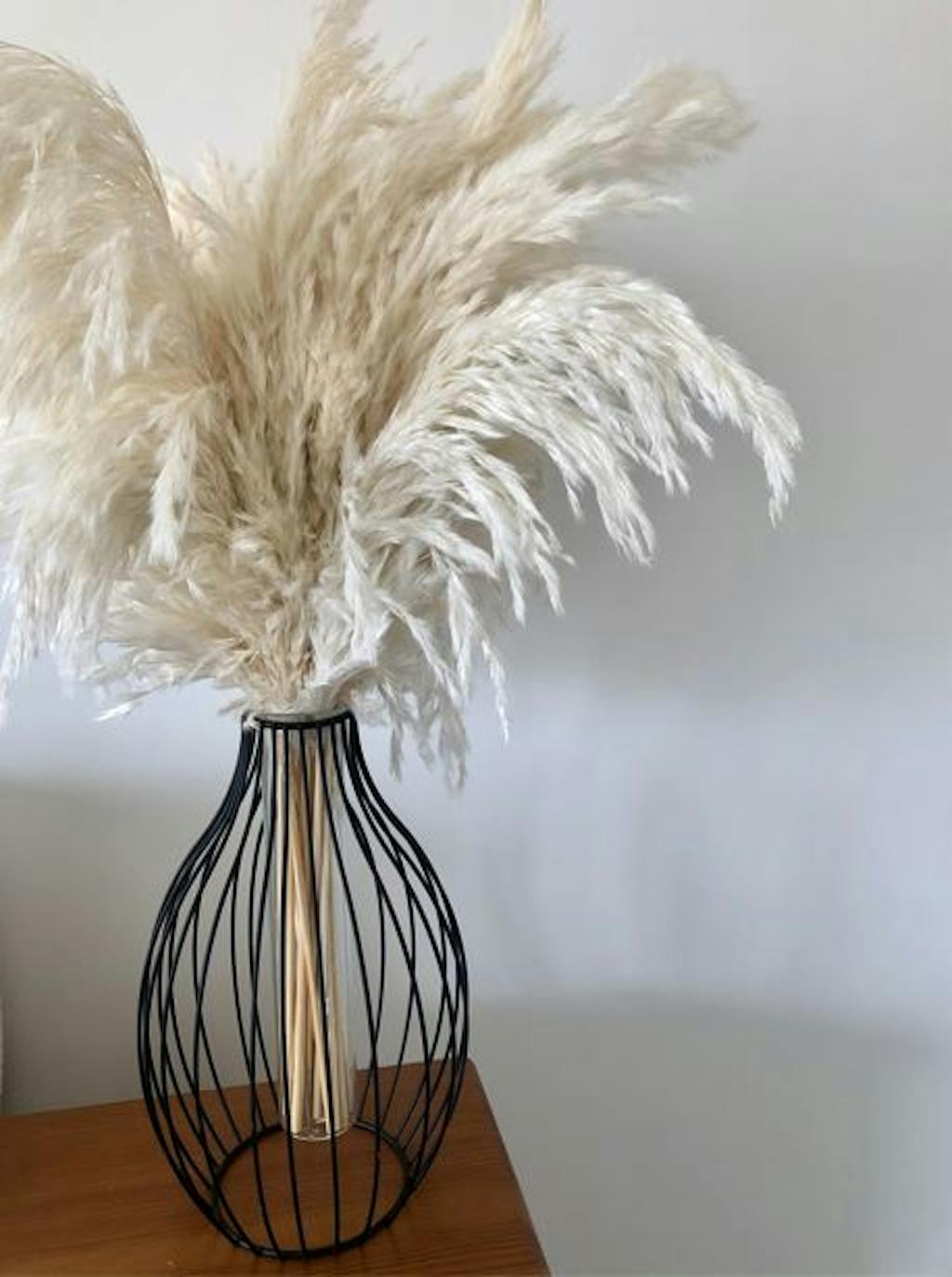 10 CREAM PAMPAS GRASS + ICONIC BLACK VASE PinkToucan