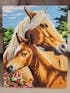 Kit para Pintar por Números - Familia Caballos Yegua y su Potro