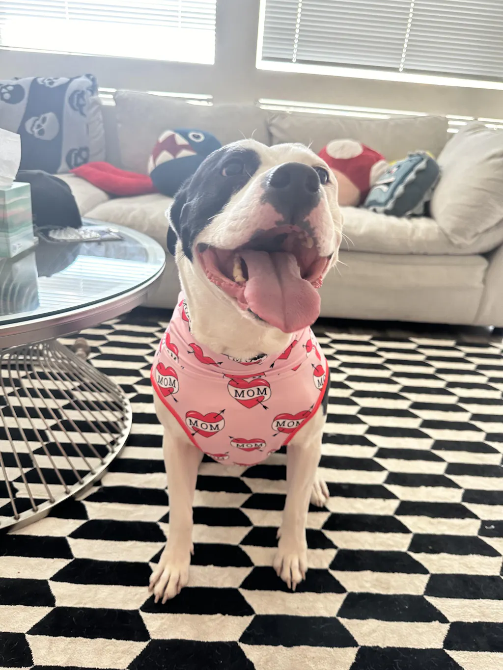 Pittie Proud Purple - End BSL Dog Pajama with Red Neck & Trim/Sleeves