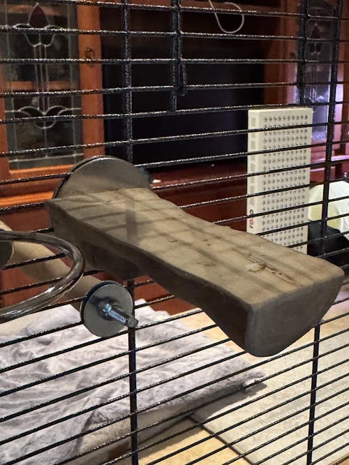 Java Stage Platform Perch