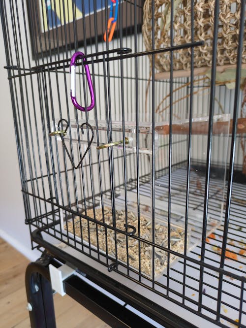 Seedmate - No Mess Feeder!