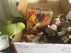 Review picture