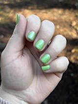 New Growth (Solar) (7 ml)