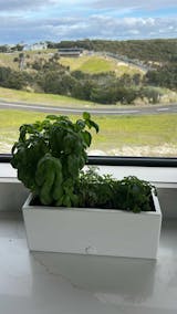 bench top baby | kinda white