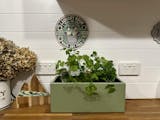 bench top baby | leafy green