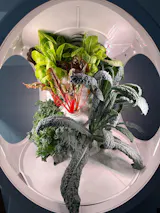 Image de l'utilisateur