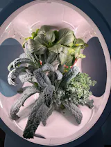 Image de l'utilisateur