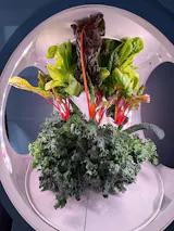 Image de l'utilisateur