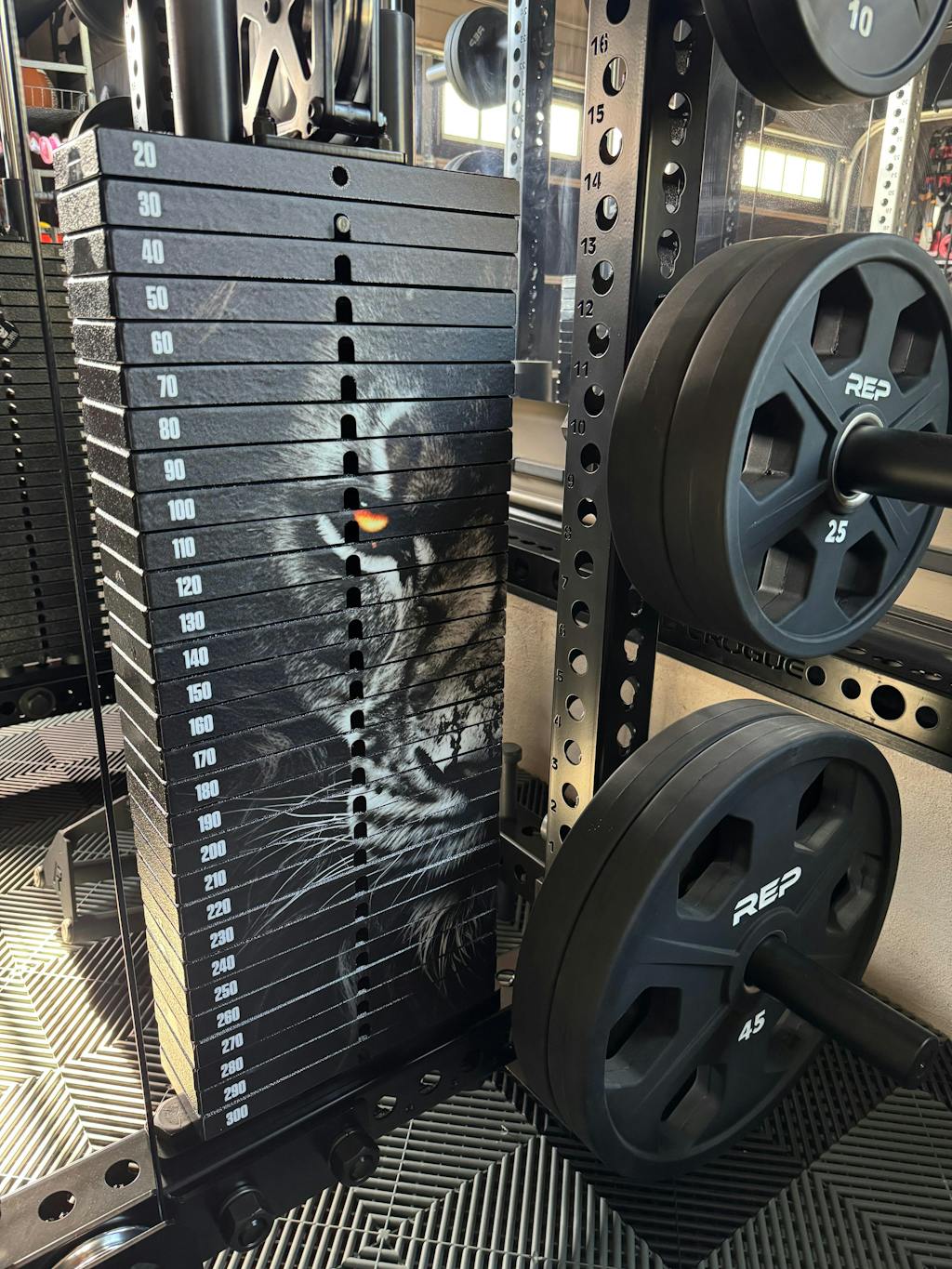 Weight Stack Stickers