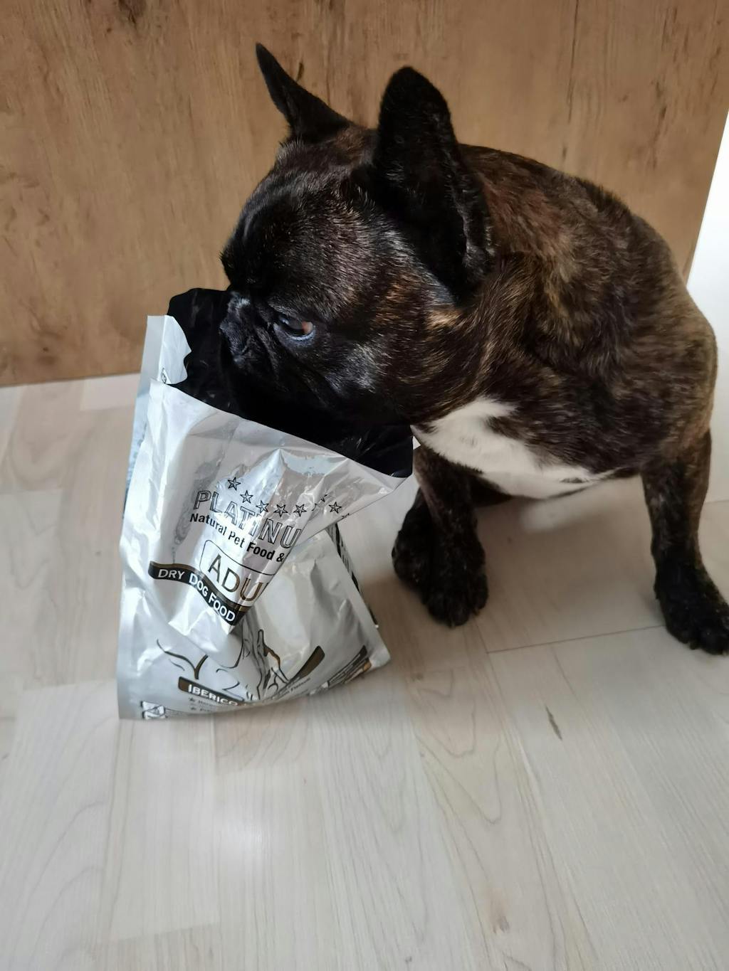 Adult Iberico, Suha Hrana za Pse