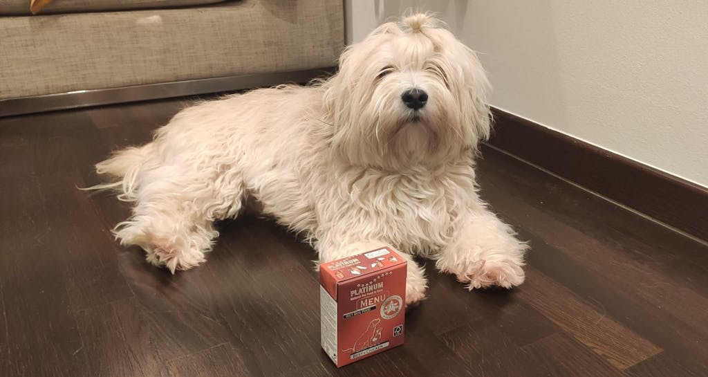 Menu Adult Beef + Chicken, Mokra Hrana za Pse