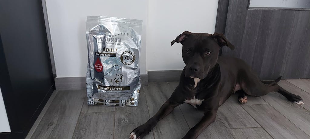 Adult Iberico, Suha Hrana za Pse