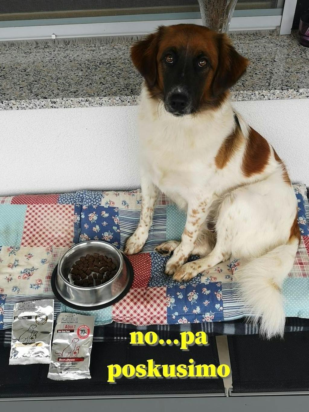 Adult Lamb, Suha Hrana za Pse