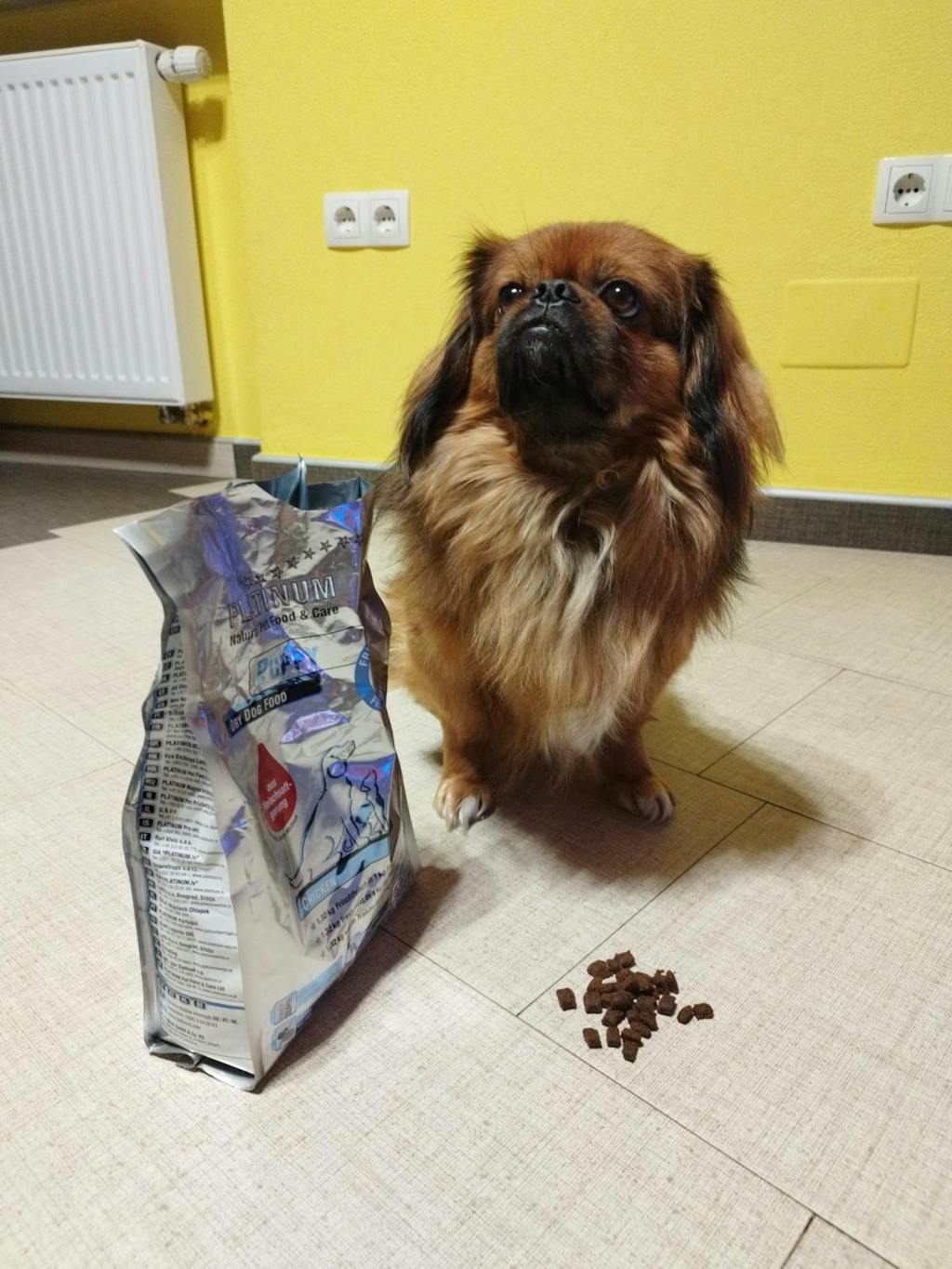 Puppy Chicken, Suha Hrana za Pse