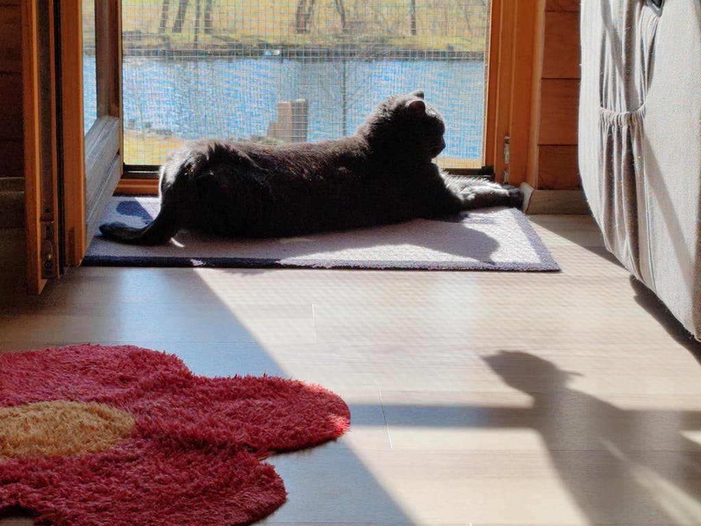 MeatCrisp Sterilised Fish, Suha Hrana za Mačke