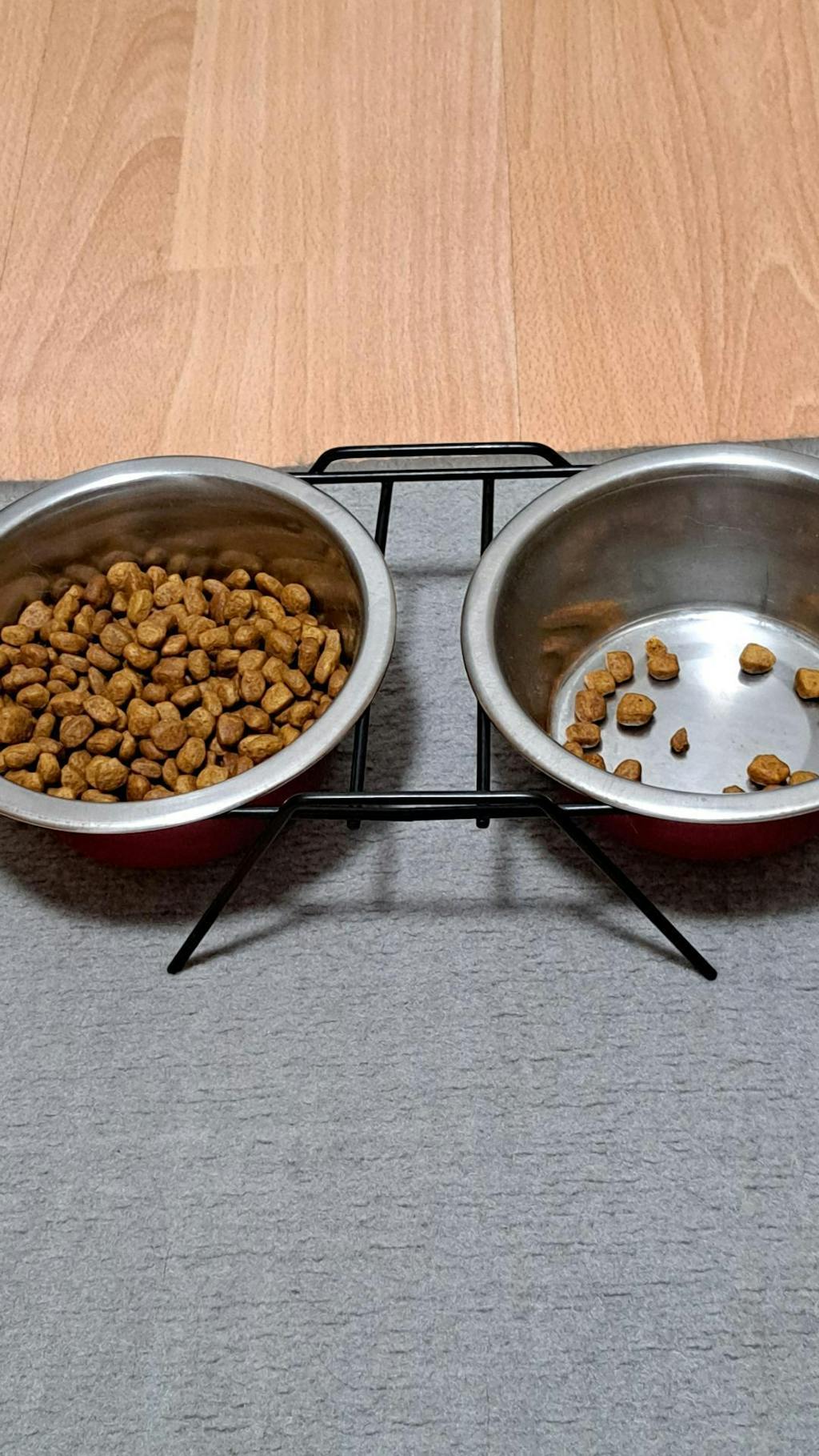 MeatCrisp Adult Fish, Suha Hrana za Mačke