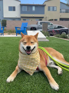 Review picture