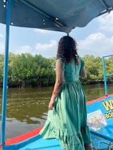 If Spring was a Dress