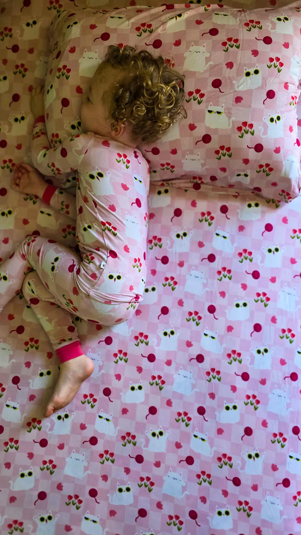 Fitted Twin Sheet & Pillow Case Set  -  Super Simple™  Peek-a-Boo Cat -Tencel™ Modal