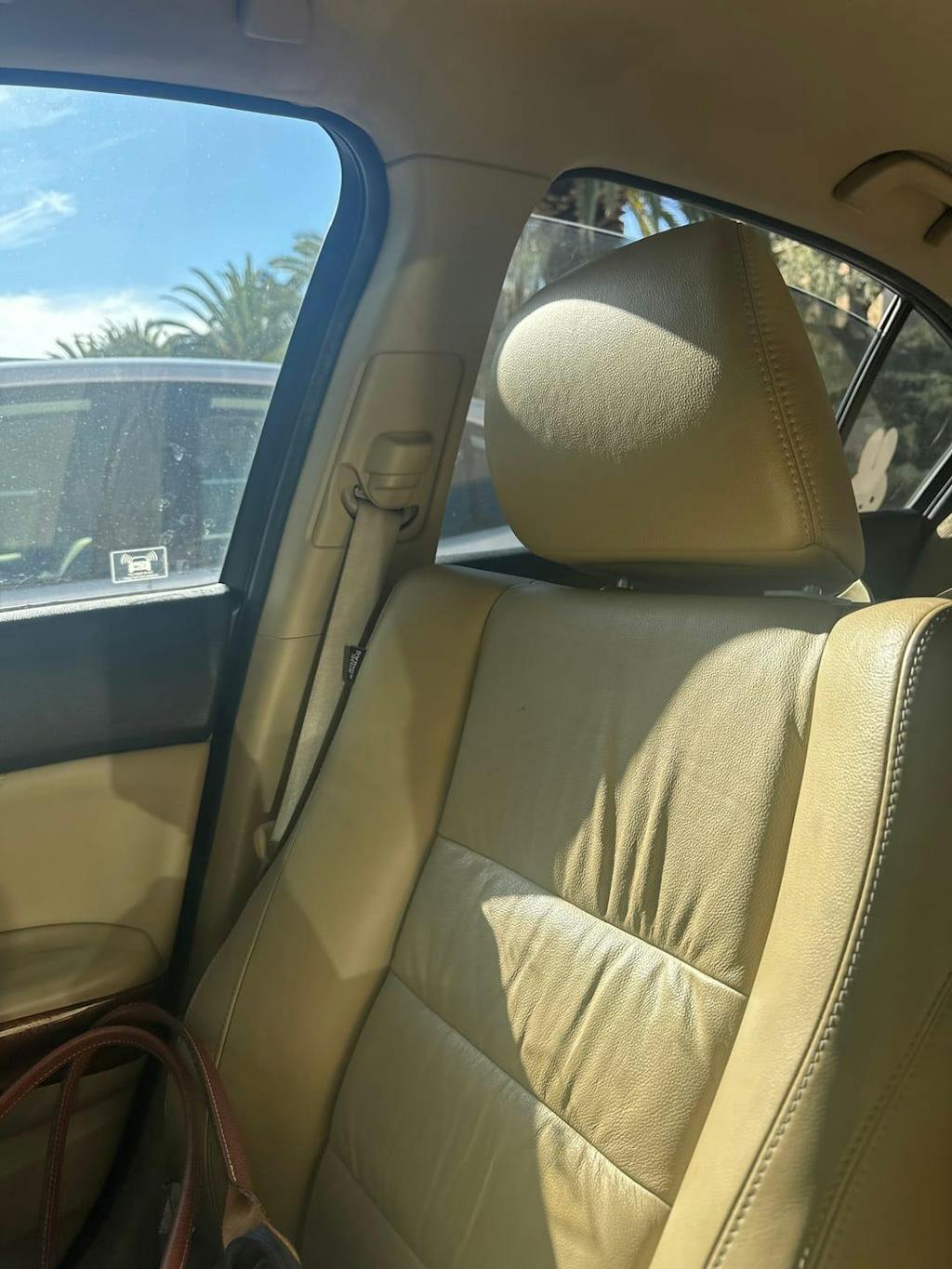 Interior Detail Spray | Dashboard & Trim Detailer