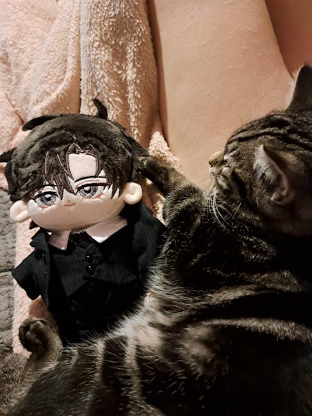 【Revival Success】【Few INSTOCK】PLUSH WONDERLAND Cat Lover Plushie Cotton Doll FANMADE 20CM