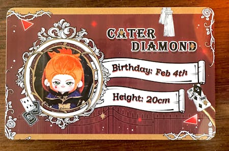 【PRESALE】PLUSH WONDERLAND Cute playing cards Plush 20 CM FANMADE