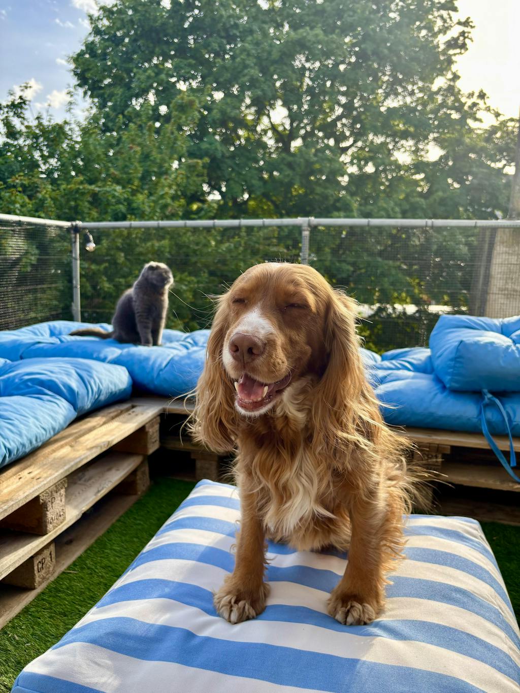 Stripe beach blue Pouf
