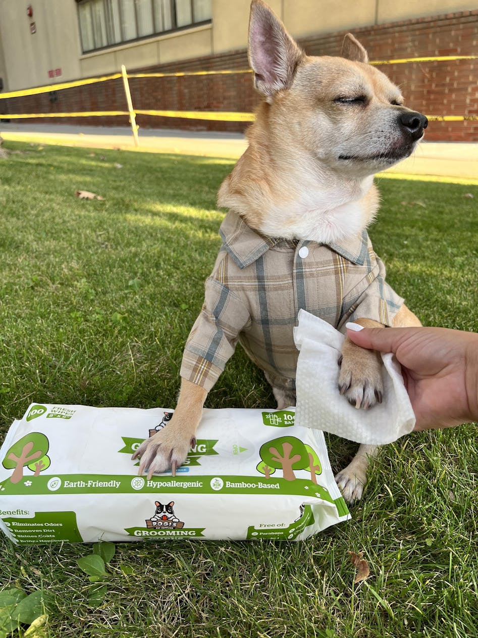 Plant Based Dog Grooming Wipes Dog Bathing Wipes Pogi s