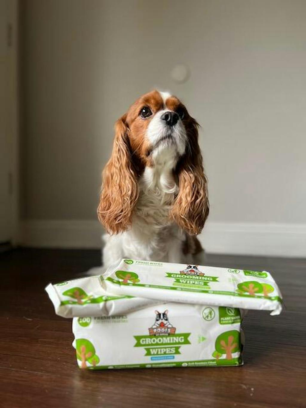 Plant Based Dog Grooming Wipes Dog Bathing Wipes Pogi's Pogi's