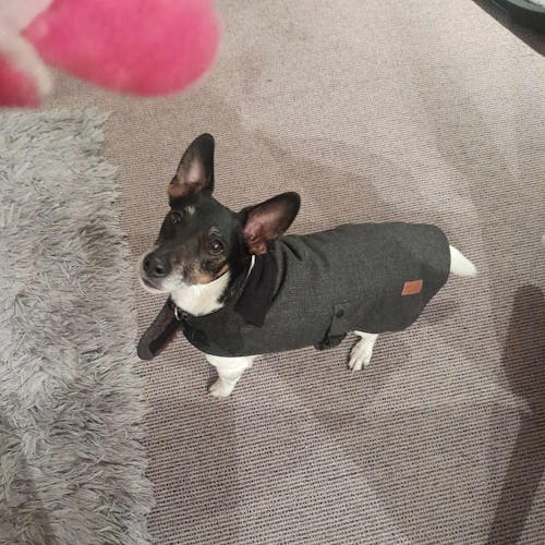 Herringbone Fleece Jacket