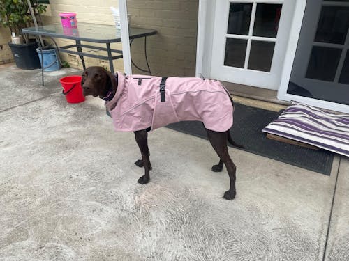 Waterproof Jacket - Pink