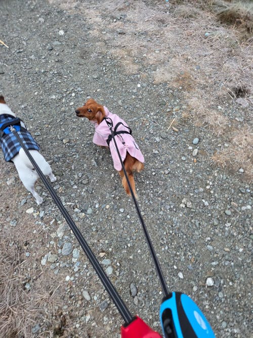 Waterproof Jacket - Pink
