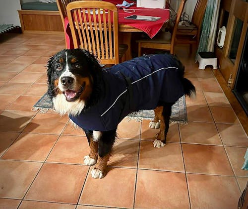 Waterproof Jacket - Navy