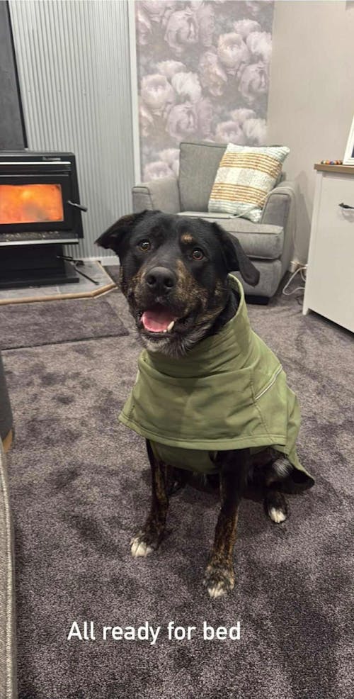 Waterproof Jacket - Green