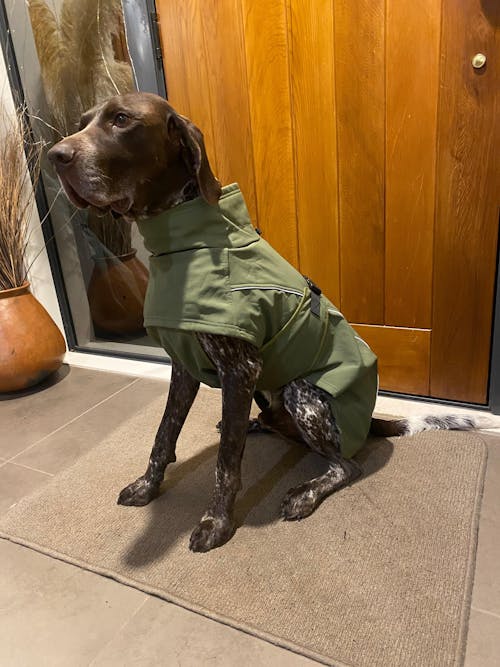 Waterproof Jacket - Green