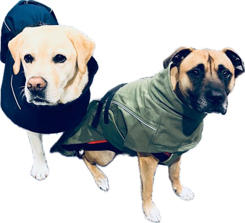 Waterproof Jacket - Navy