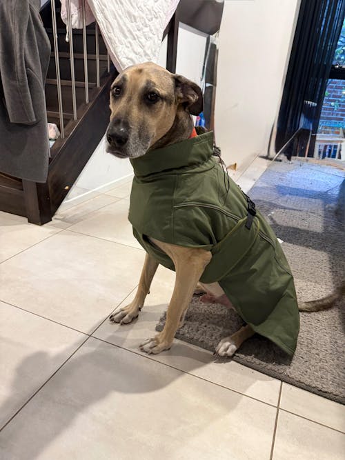 Waterproof Jacket - Green