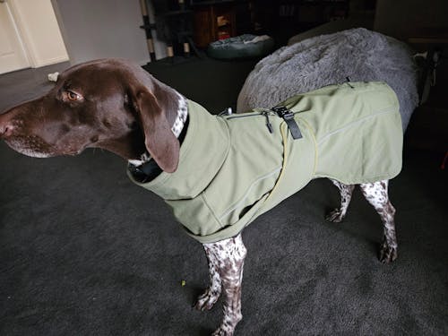 Waterproof Jacket - Green