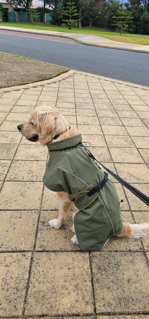 Waterproof Jacket - Green