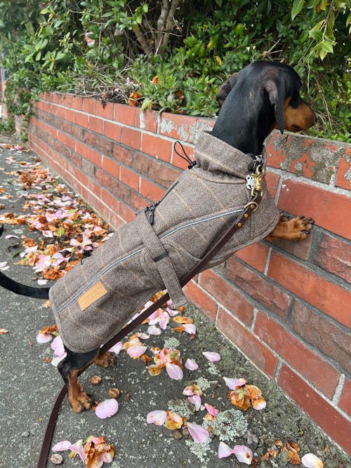 Wool-Blend Jacket