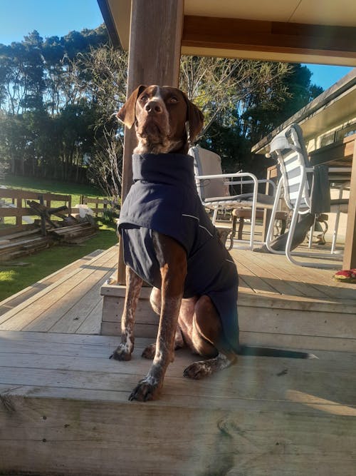 Waterproof Jacket - Navy
