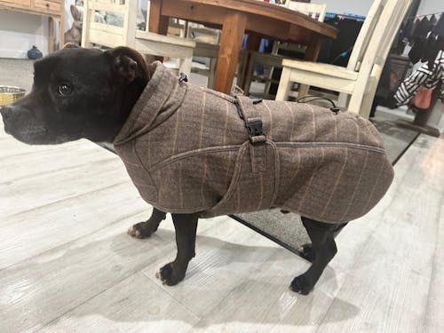 Wool-Blend Jacket