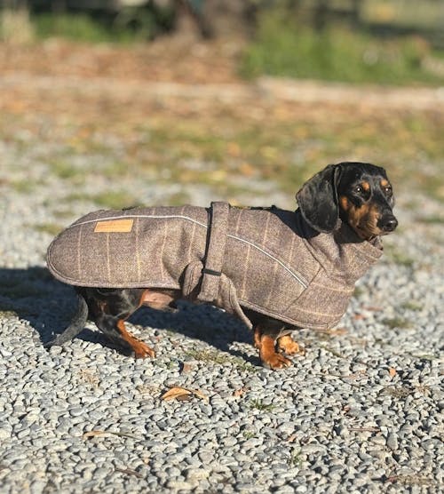 Wool-Blend Jacket