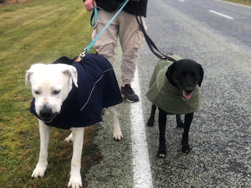 Waterproof Jacket - Navy